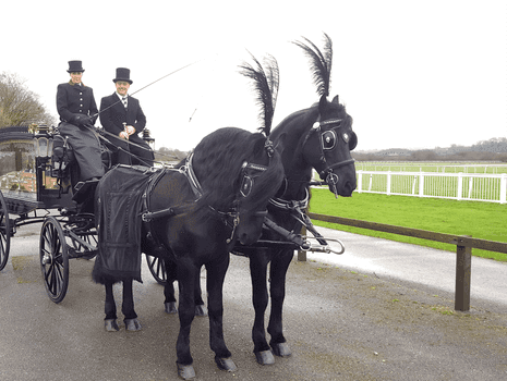 Horse and Carriage